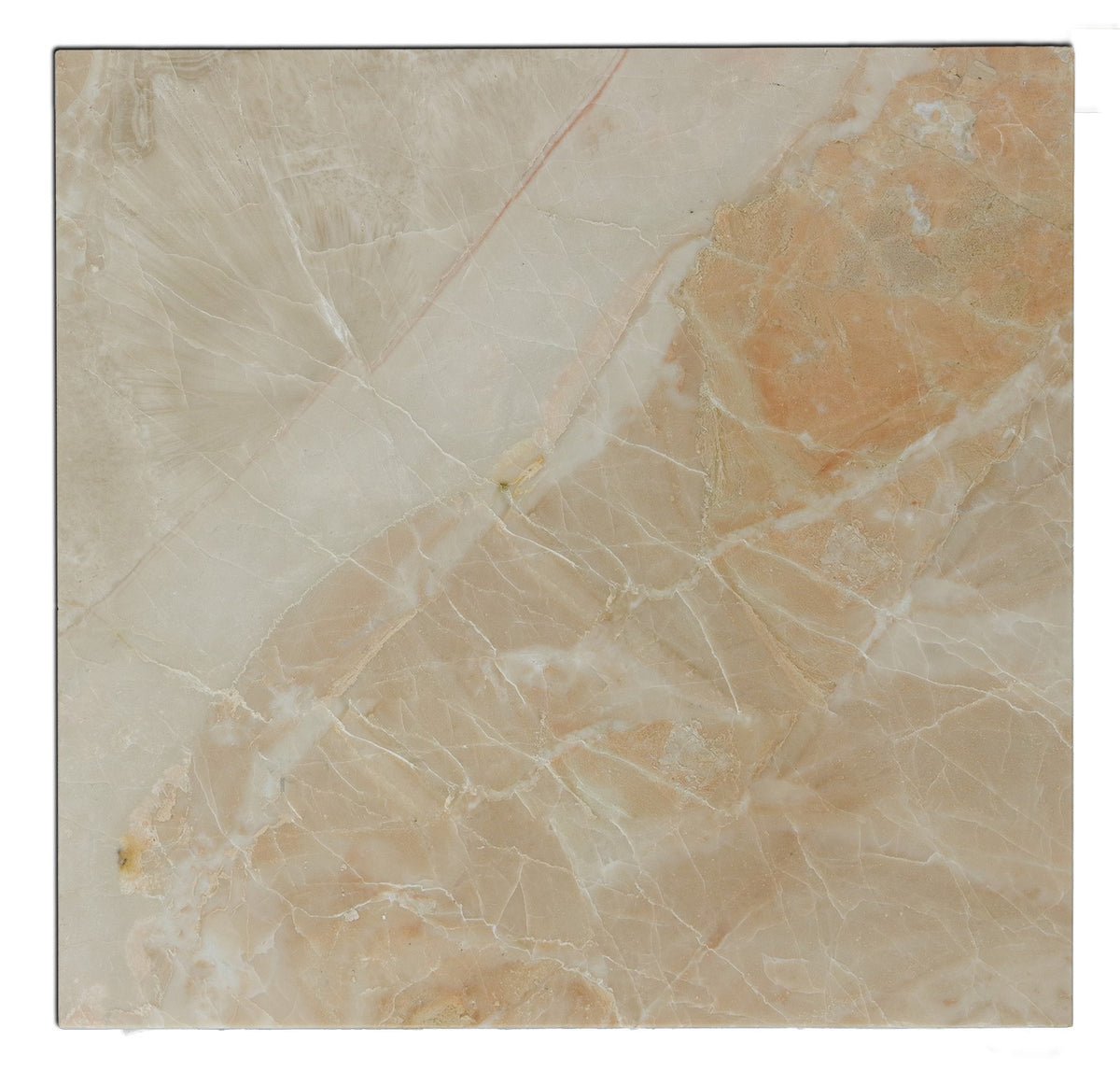 Ki-no 38explore One Off Shade　Marble Breccia Oniciata Italian 18x18 Polished Marble Tile | TMD