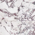 Marble Tile: Timeless Luxury for Modern and Classic Interiors