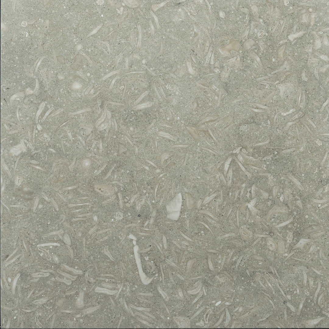 SEAGRASS LIMESTONE tiles-TILE AND MOSAIC DEPOT