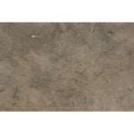 Fossil Brown Limestone 16x24 Polished Tile - TILE & MOSAIC DEPOT