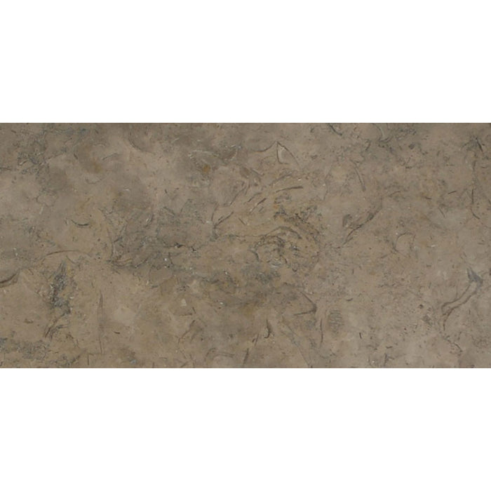 Fossil Brown Limestone 12x24 Polished Tile - TILE & MOSAIC DEPOT