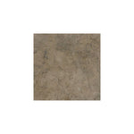 Fossil Brown Limestone 12x12 Polished Tile - TILE & MOSAIC DEPOT