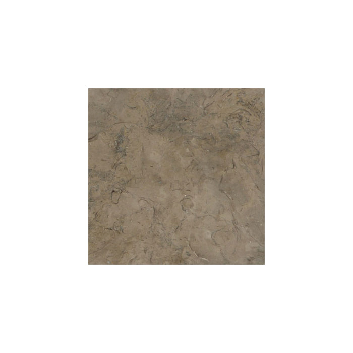 Fossil Brown Limestone 12x12 Polished Tile - TILE & MOSAIC DEPOT