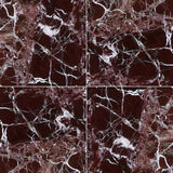 Rosso Levanto Red Marble 12x12 Polished Tile - TILE & MOSAIC DEPOT
