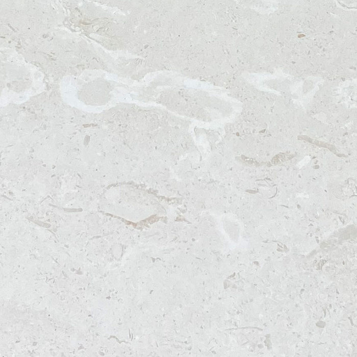 White Pearl Myra Limestone 24x24 Honed Tile - TILE & MOSAIC DEPOT