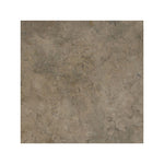 Fossil Brown Limestone 18x18 Polished Tile - TILE & MOSAIC DEPOT