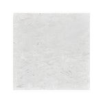 White Pearl Myra Limestone 18x18 Honed Tile - TILE & MOSAIC DEPOT