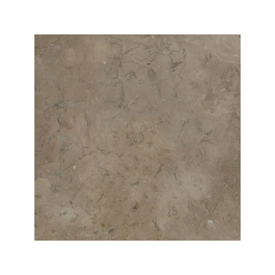 Fossil Brown Limestone 18x18 Leathered Tile - TILE & MOSAIC DEPOT