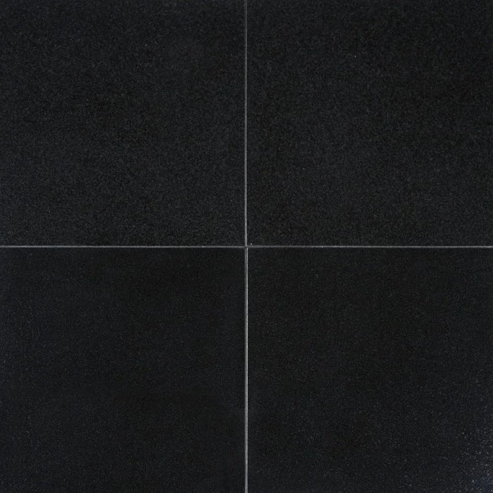 Absolute Black Granite 24x24 Polished Tile - TILE & MOSAIC DEPOT