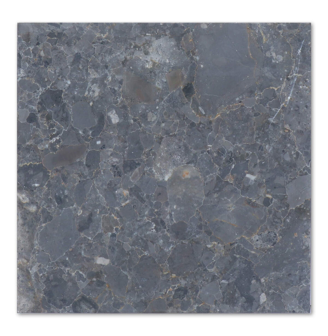 Breccia Grigio Italian 12x24 Honed Marble Tile - TILE & MOSAIC DEPOT