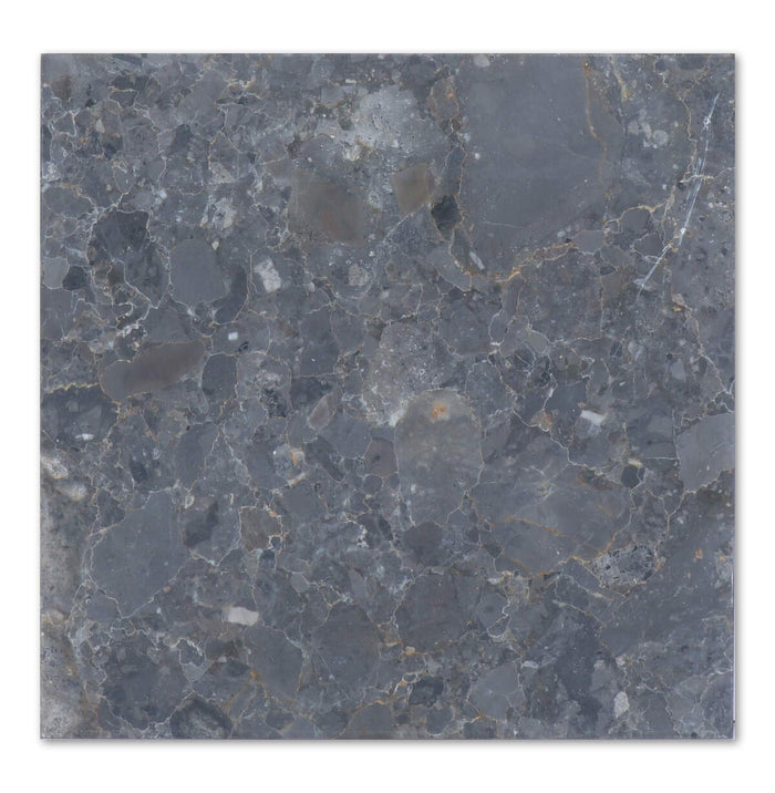 Breccia Grigio Italian 12x24 Honed Marble Tile