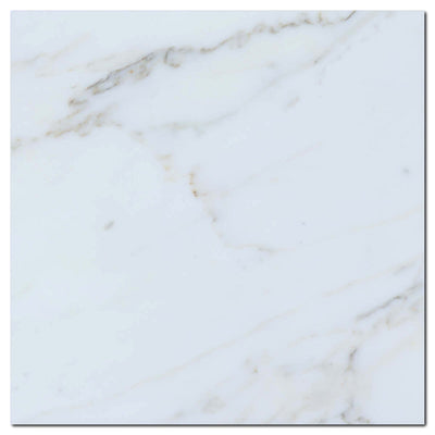 Calacatta Gold Marble 18x18 Honed Marble Tile