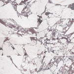 Calacatta Viola Marble 12x24 Honed Tile