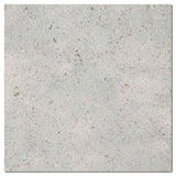 GASCOGNE BLUE 18X18