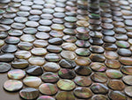JEWELS OF THE SEA MOON SHELL shell Mosaic Tile - TILE & MOSAIC DEPOT