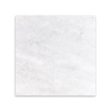 Polar Thassos White 12x12 Honed Marble Tile