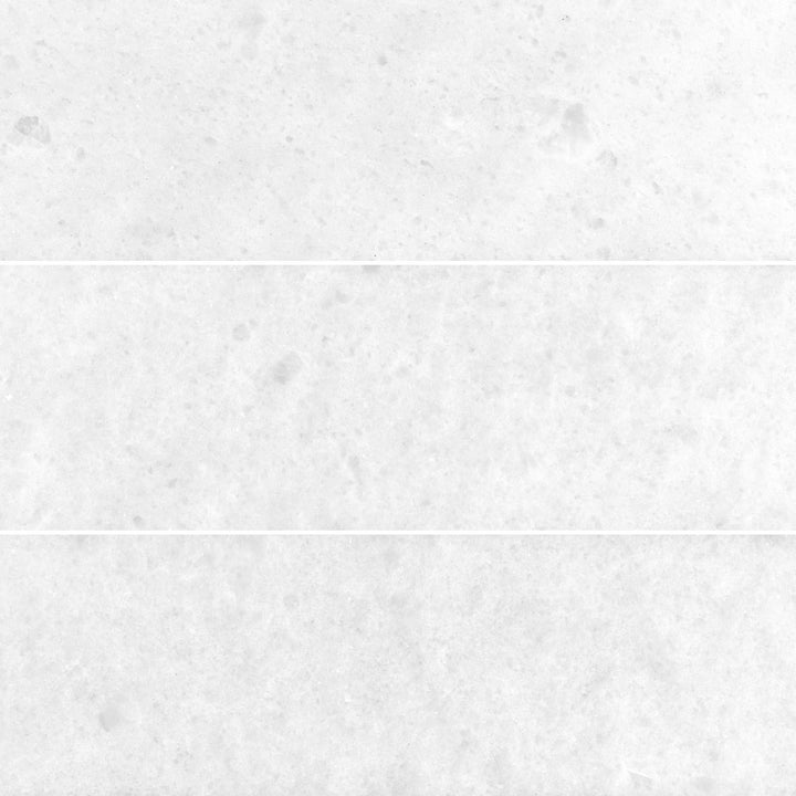 Polar Thassos White 6x12 Honed Marble Tile - TILE & MOSAIC DEPOT
