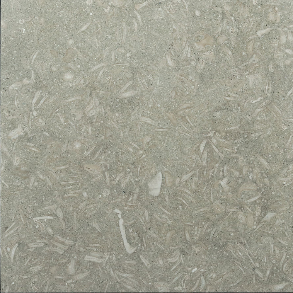 Seagrass Limestone 12x12 Polished Tile - TILE & MOSAIC DEPOT