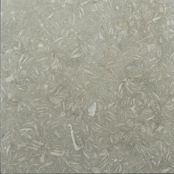 Seagrass Limestone 12x12 Polished Tile - TILE & MOSAIC DEPOT