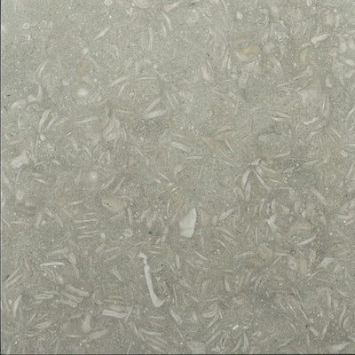 Seagrass Limestone 12x12 Polished Tile - TILE & MOSAIC DEPOT