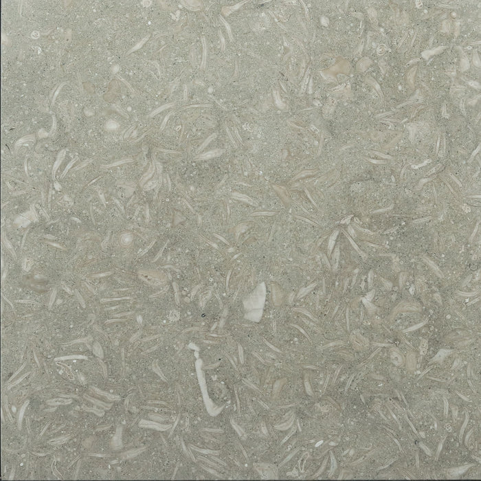 Seagrass Limestone 18x18 Polished Tile - TILE & MOSAIC DEPOT