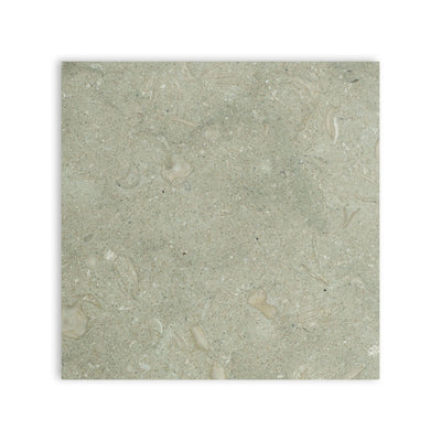 SEAGRASS_12X12 honed