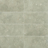 SEAGRASS 12X24 HONED