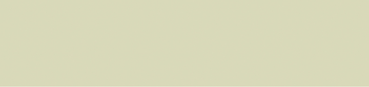 Volume Sage 2 1/3 x 10 Italian Porcelain Tile