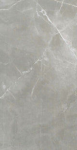 Amani Grey 24x48 Italian Polished Porcelain Tile