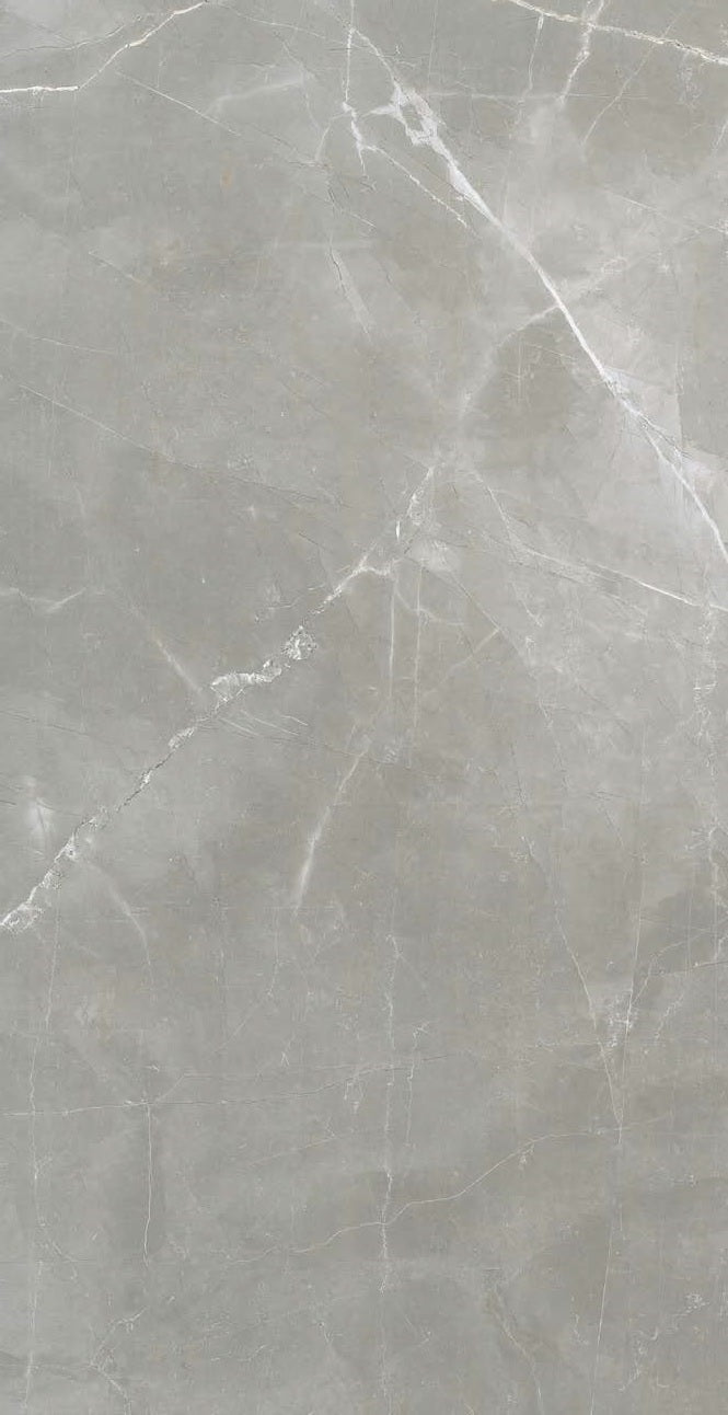 Amani Grey 24x48 Italian Polished Porcelain Tile