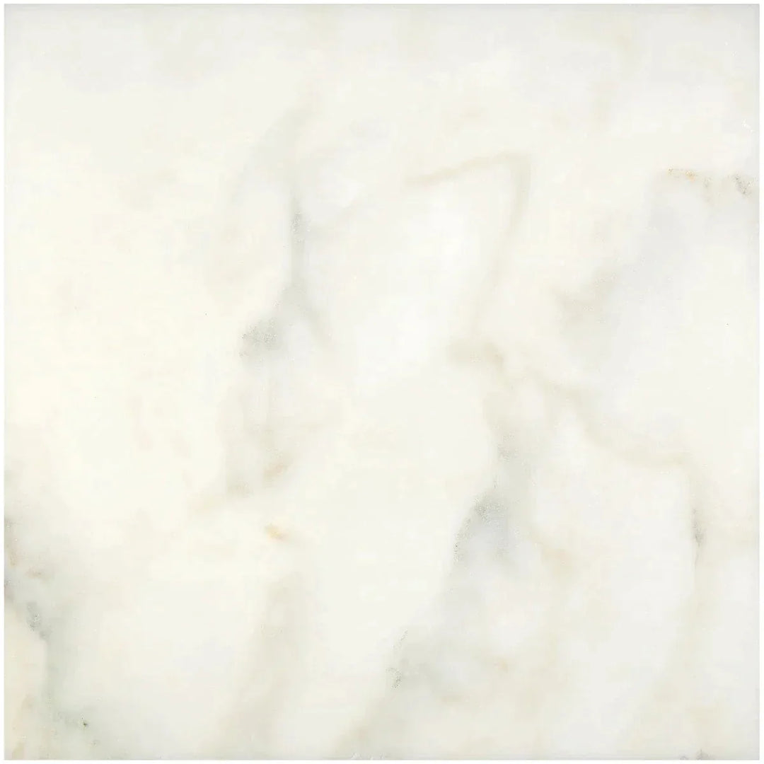 Calacatta Oliva Marble 24x24 Honed Tile - TILE & MOSAIC DEPOT