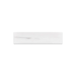 Bianco Dolomite Marble 2x8 Honed Tile - TILE & MOSAIC DEPOT