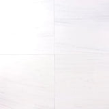 Bianco Dolomite Marble 18x18 Polished Tile - TILE & MOSAIC DEPOT