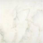 Calacatta Oliva Marble 12x12 Honed Tile - TILE & MOSAIC DEPOT