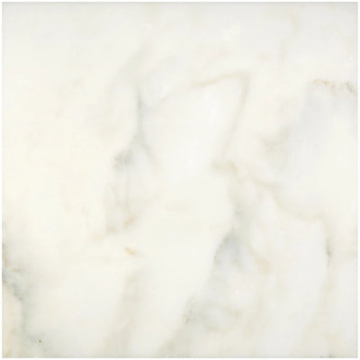 Calacatta Oliva Marble 12x12 Honed Tile - TILE & MOSAIC DEPOT