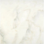 Calacatta Oliva Marble 24x24 Honed Tile - TILE & MOSAIC DEPOT