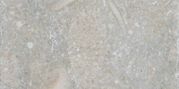 Seagrass Limestone 3x6 Tumbled Tile