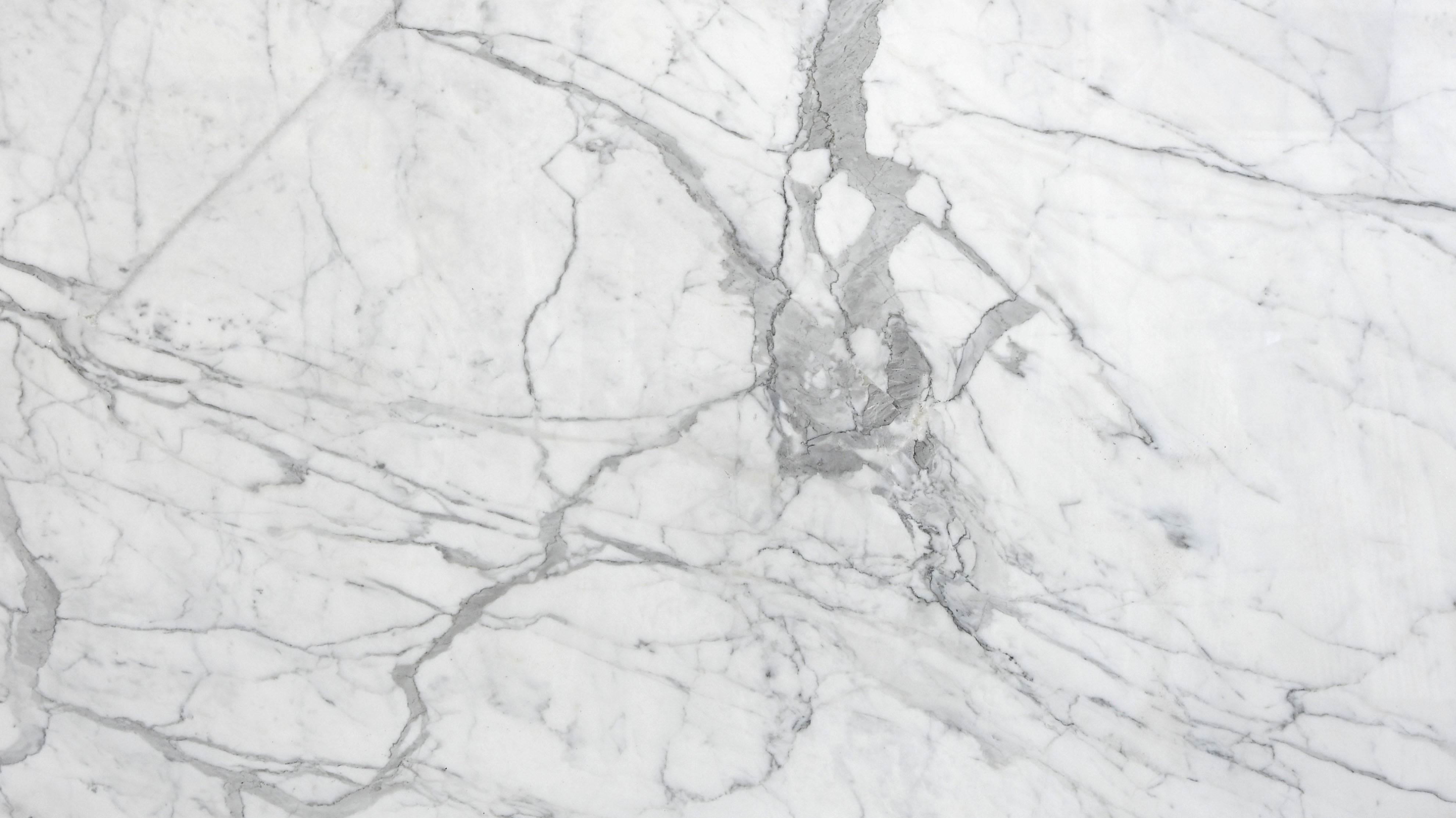 Statuario Marble 18x36 Honed Tile | TMD