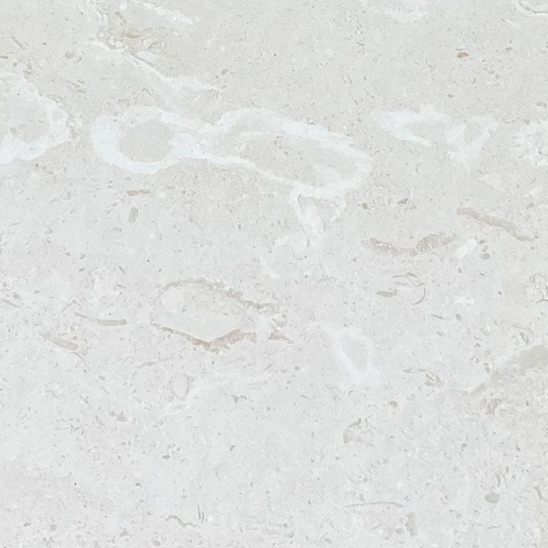 White Pearl Myra Limestone 24x24 Honed Tile - TILE & MOSAIC DEPOT