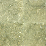 Seagrass Limestone 6x6 Tumbled Tile.