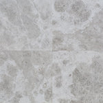 Atlantic Gray Marble 24x24 Polished Tile - TILE AND MOSAIC DEPOT