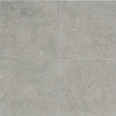 Seagrass Limestone 18x18 Honed Tile - TILE AND MOSAIC DEPOT