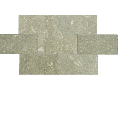 Seagrass Limestone 3x6 Honed Tile - TILE AND MOSAIC DEPOT