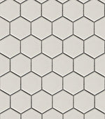 Ivory 2x2 Hexagon Glazed Porcelain Mosaic Tile - TILE & MOSAIC DEPOT