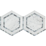 White Carrara Marble 5x5 Hexagon with Blue Honed Mosaic Tile - TILE AND MOSAIC DEPOT