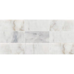 Bianco Caldo Marble Polished Subway Polished Tile - TILE AND MOSAIC DEPOT