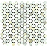 Calacatta Gold Marble Penny Round Honed Mosaic Tile - TILE & MOSAIC DEPOT