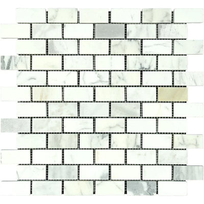 Calacatta Gold Marble 1x2 Polished Mosaic Tile - TILE AND MOSAIC DEPOT