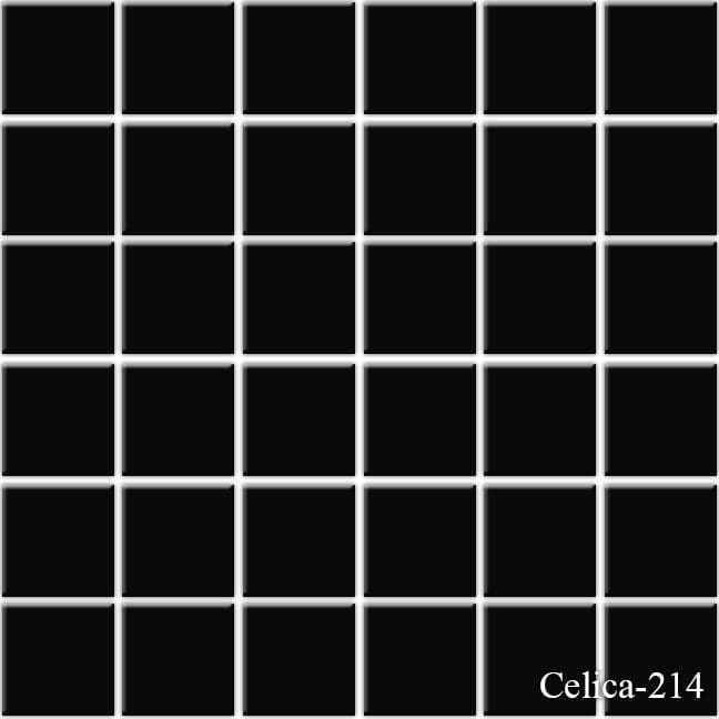 Cel Black  2 x 2 Pool Tile Series - TILE & MOSAIC DEPOT