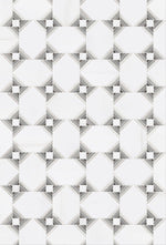 Bianco Dolomite Grey Marble with Eremaso Limestone Polished Mosaic Tile - TILE & MOSAIC DEPOT